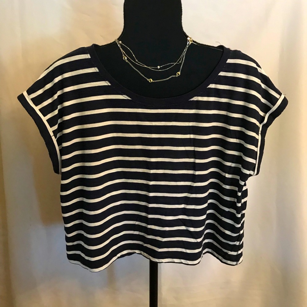 Map to Mars Striped Crop Top